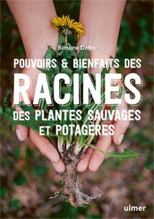 2025-02-13 - Cov Pouvoirs et bienfaits des racines des plantes sauvages et potageres - Ulmer