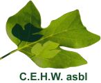 Logo CEHW - site FWH