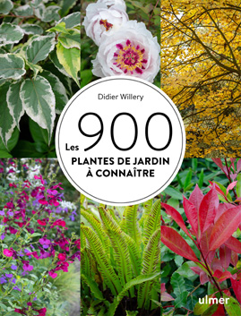 Cov Ulmer - 900 plantes - Didier Willery - sept. 2023