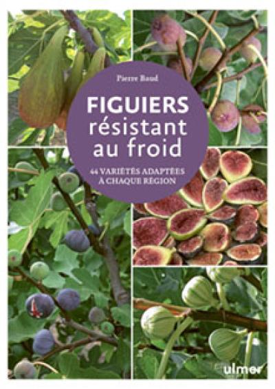 2026-01-29 - Cov Figuiers resistant au froid - Ulmer