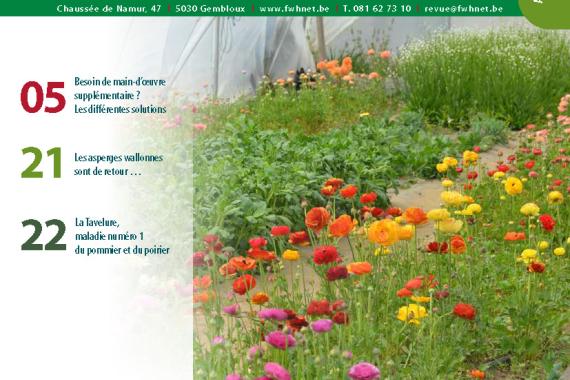 Revue 145 - cov