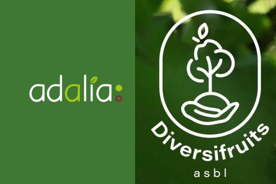 Adalia et Diversifruits