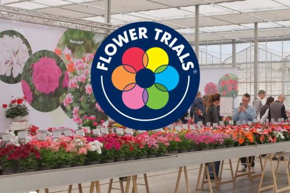 Flower Trials - visite entreprises