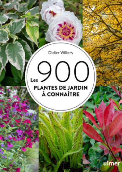 Cov Ulmer 900 plantes - Willery