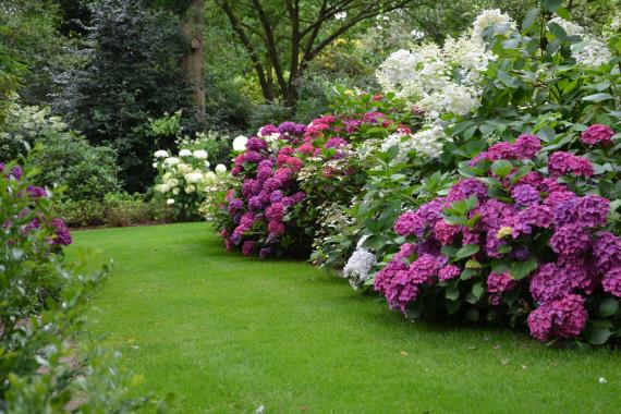 Hortensias en Fête La Feuillerie - 2023 Ok