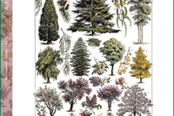 Cov Garance Voyageuse n° 143