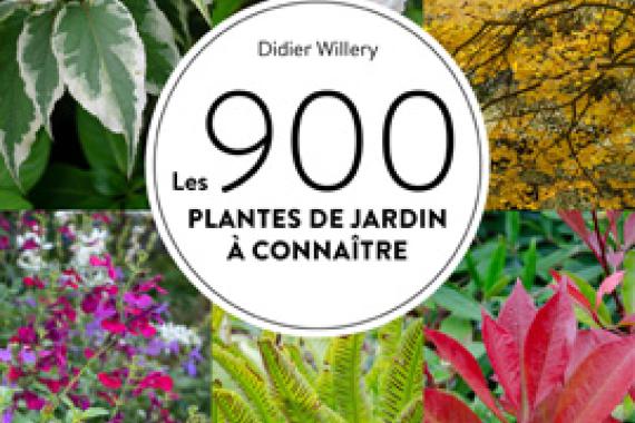 Cov Ulmer 900 plantes - Willery
