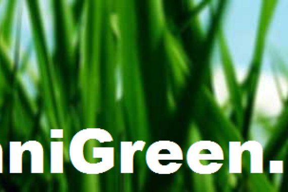 Technigreen.info 1