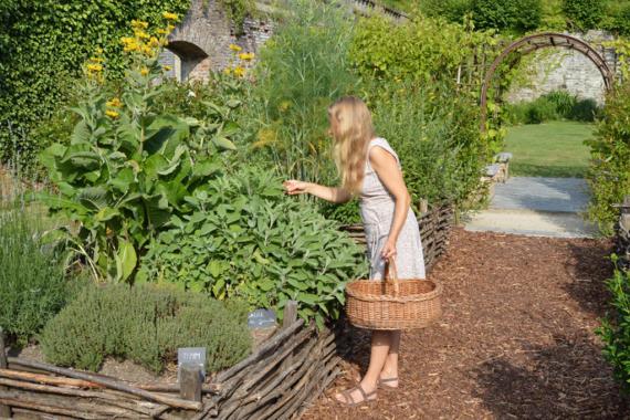 Villers-la-Ville  - Plantes et Santé