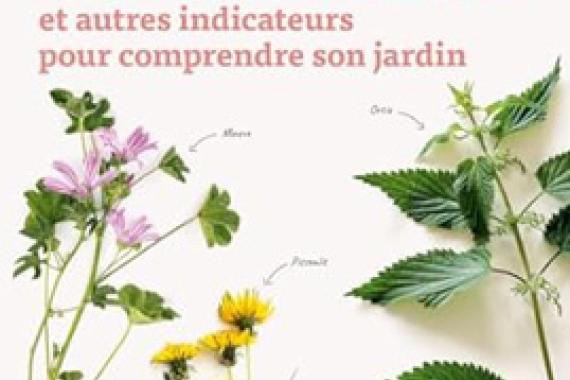2024-02-01 Ulmer - Plantes bio-indicatrices