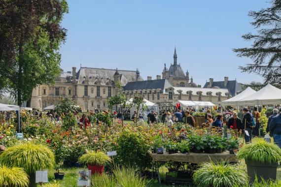 Chantilly Printemps OK