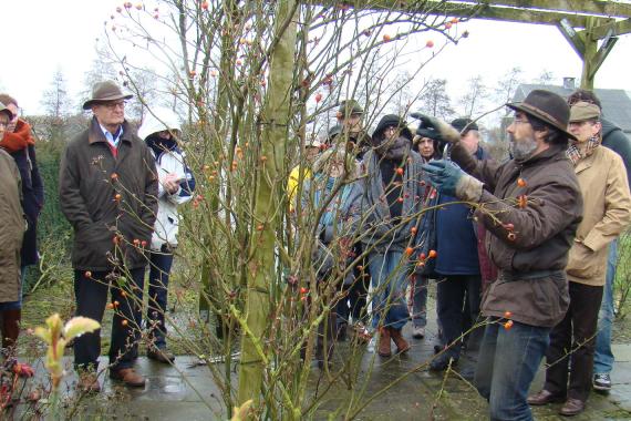 Taille chez Lens-Roses - Démo
