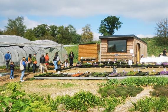 Capucine à table PO