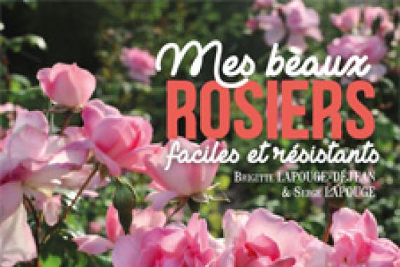 Cov Beaux Rosiers faciles et résistants