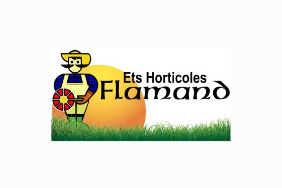 Ets Flamand bannière