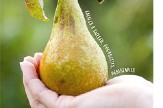 Cov Petits arbres fruitiers