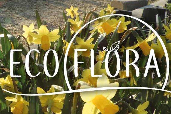 Ecoflora - Portes ouvertes - Printemps