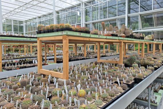 2024-05-22 JBM -Arche verte - Inauguration