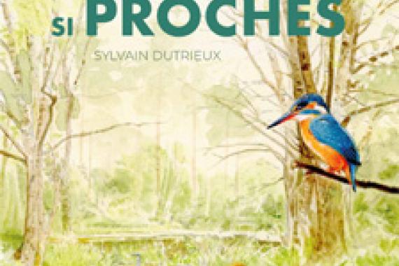 Des vies si proches - Les mots qui portent