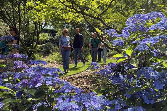 Kleine boerderij - Balade Hortensias