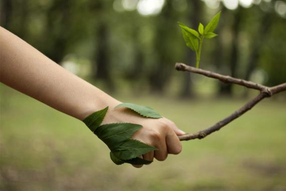 Nature et Progres - Portes ouvertes jardins membres
