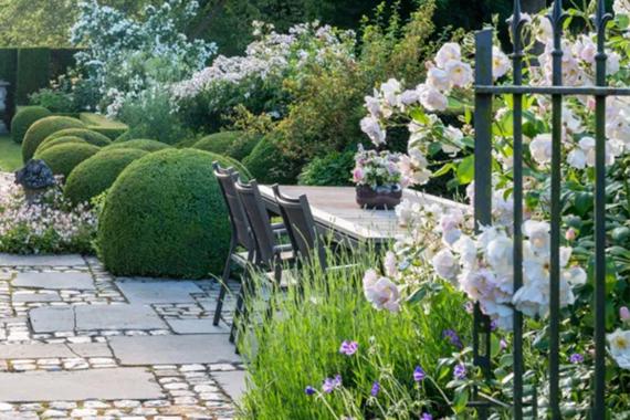 Taelman - Ruelle Rose - Printemps - Grille