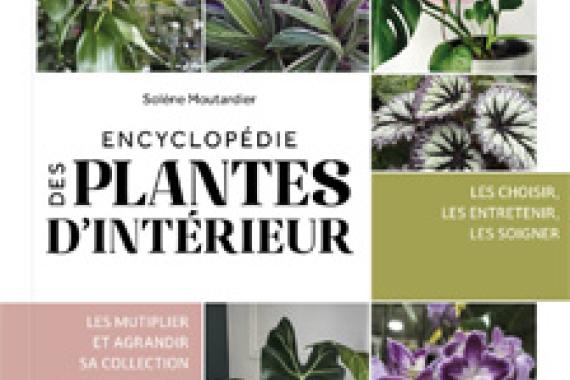 2024-09-12 - cov Encyclopedie des plantes d interieur - Ulmer