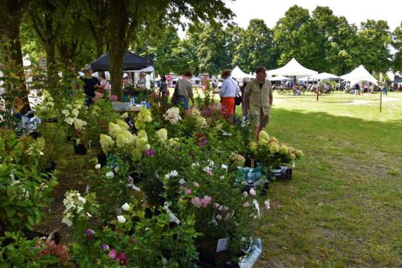 Fauvillers - Foire aux plantes
