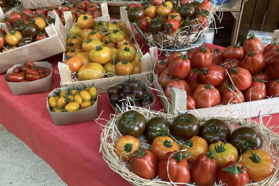 Ferme de la Vallee - Fete tomate - Expo