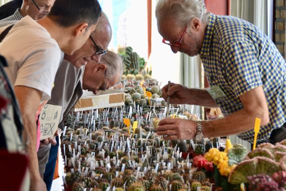 ELK conferences - vente de cactus et plantes succulentes