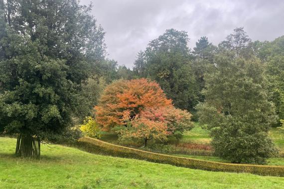 kreftenbroeck_automne