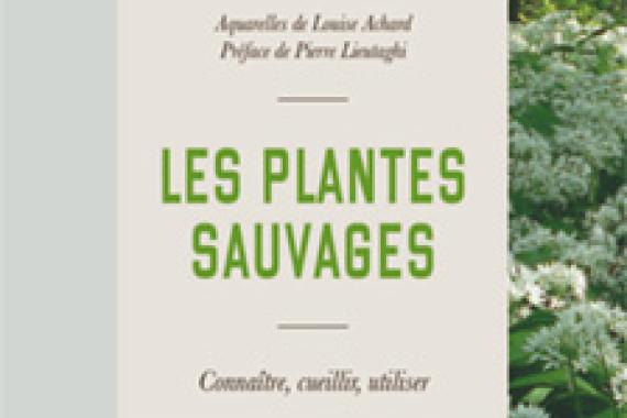 Plantes sauvages - Thierry Thevenin - Les mots qui portent