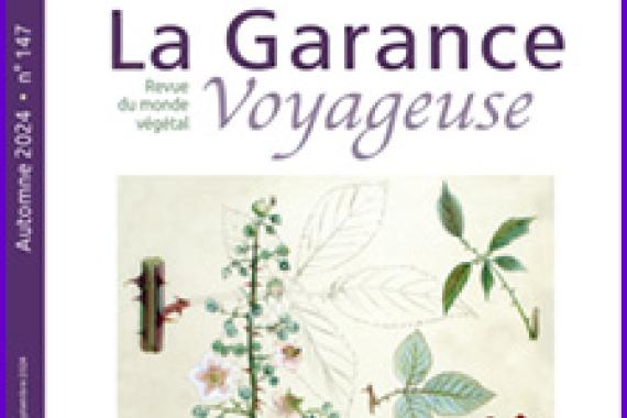 Cov GV - 147 - Automne 2024