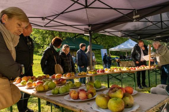 Fete des pommes et des poires - PNBM