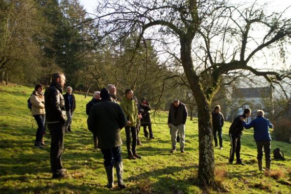 Decouvertes de Comblain - Conduite et taille des arbres fruitiers