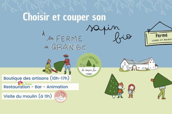 Sapigrange - Choisir et couper son sapin de Noel
