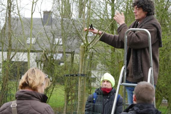 Apiculture naturelle - Taille des arbres fruitiers - atelier