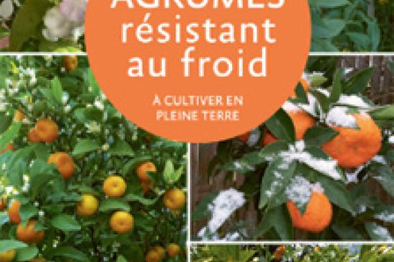 2025-02-20 Cov Agrumes réédition - Ulmer