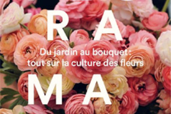 Cov Floramama - Fleurs coupées ecoresponsable