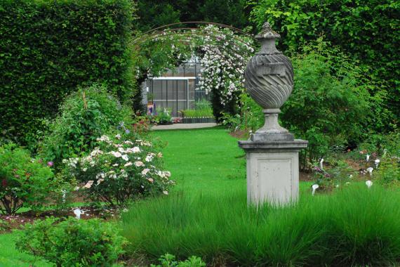 Roses de Daniel - Pepiniere