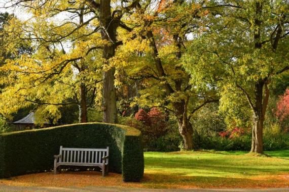 Bokrijk Arboretum - vue