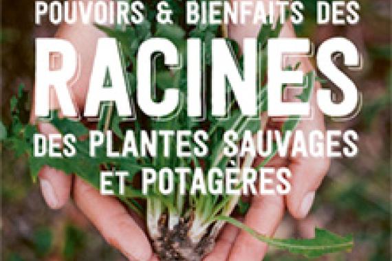 2025-02-13 Cov Pouvoirs & bienfaits des racines des plantes sauvages et potageres - Ulmers