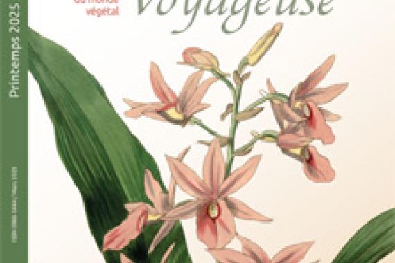Cov Garance voyageuse - 149 - Printemps 2025
