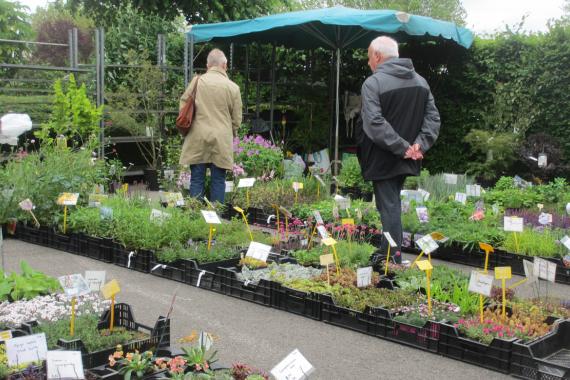 Blegny - Foire aux plantes