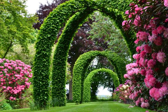 Feuillerie - Rhodo - Evenement