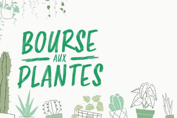 Beauvechain - bourse aux plantes
