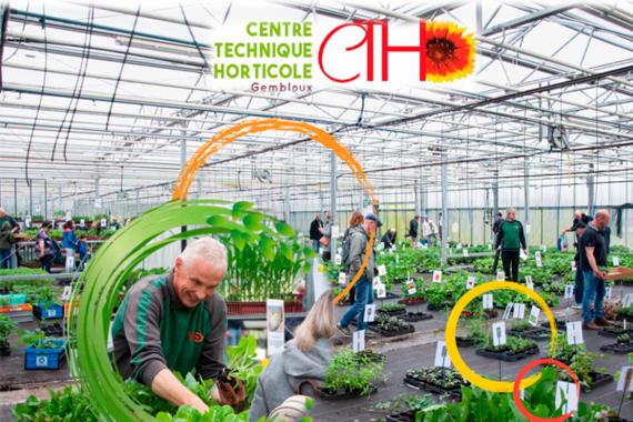 CTH - Marche aux plantes