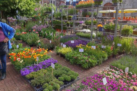 Marché fleuri