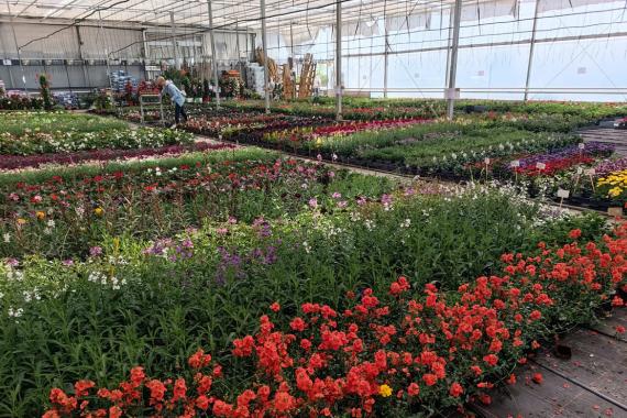 Pussemier Serres - PO Annuelles