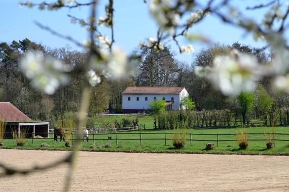 Malagne - Vue generale